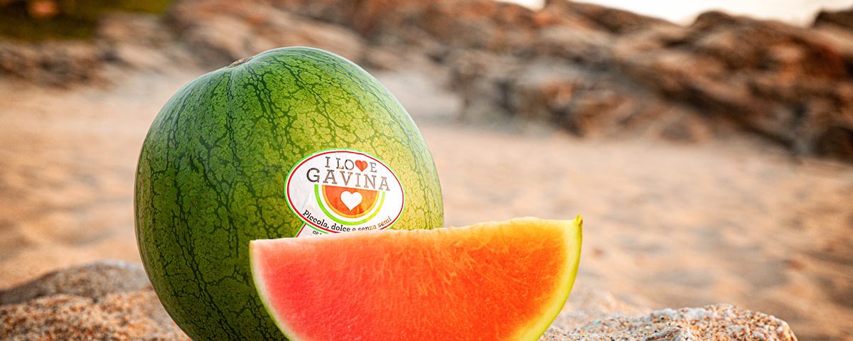 Gavina-OP-Campidanese-mini-anguria-Rai-Coop-2021