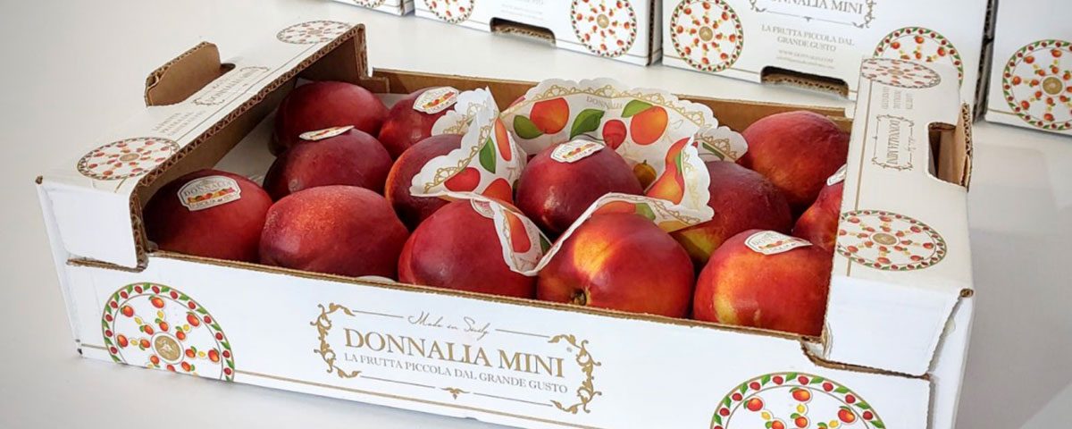 Donnalia-Mini-nettarine-Pesca-Delia-Di-Pasquale-2021
