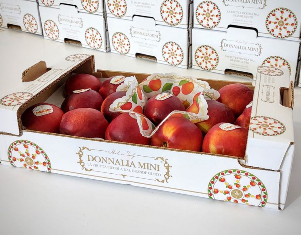 Donnalia-Mini-nettarine-Pesca-Delia-Di-Pasquale-2021
