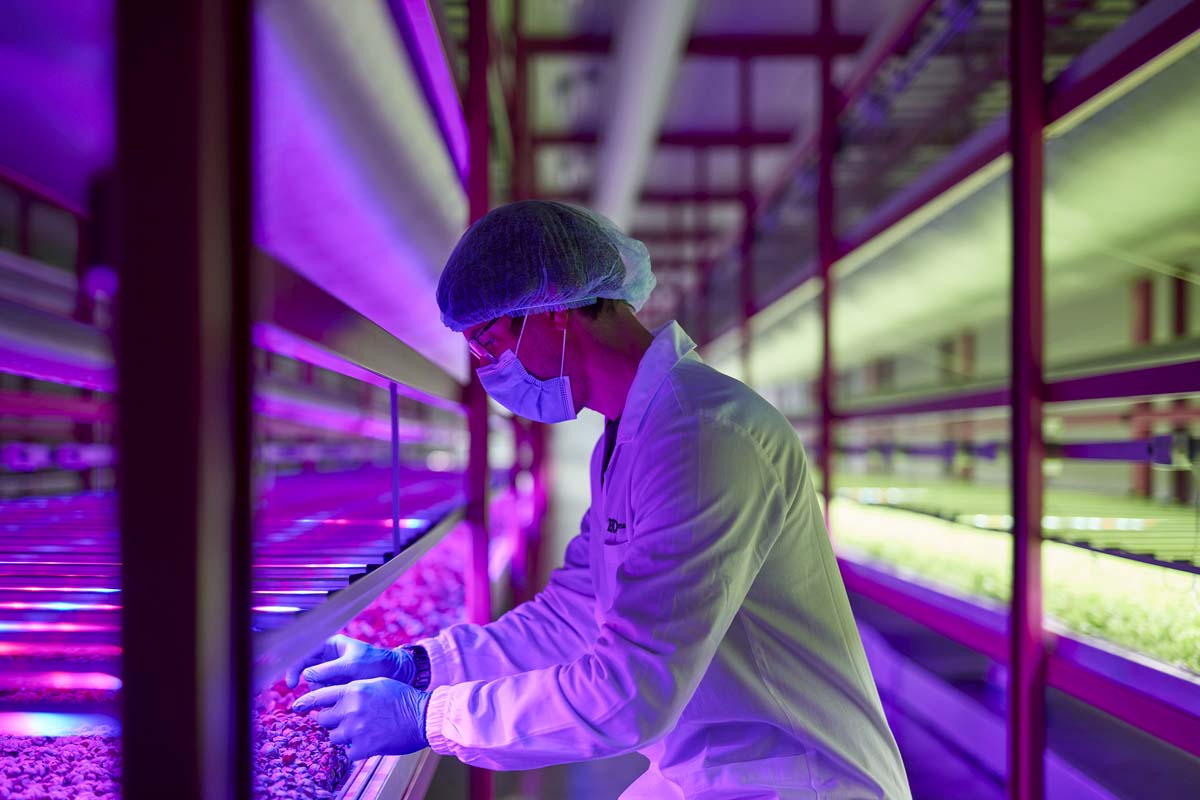vertical farming