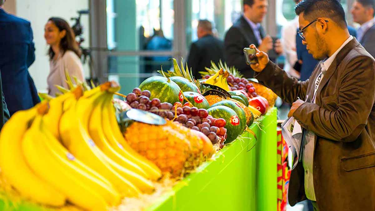 macfrut