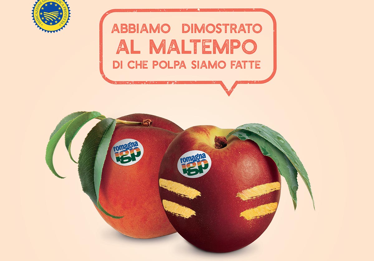 pesche nettarine