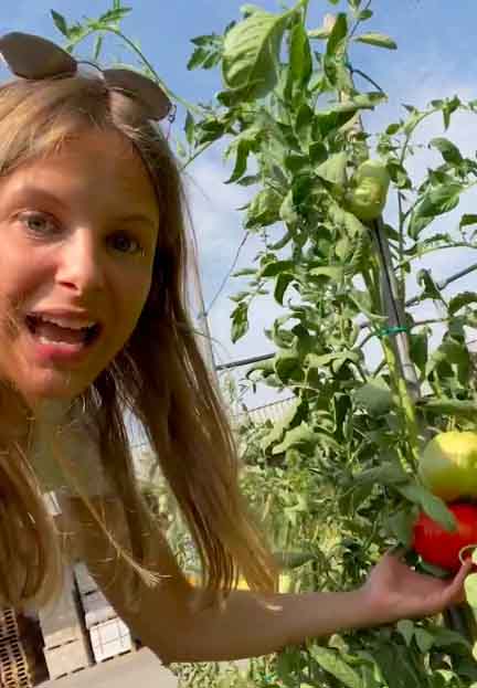 Francesca Nonino pomodori