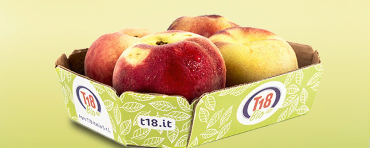 T18-tribunale-fallimento-frutta