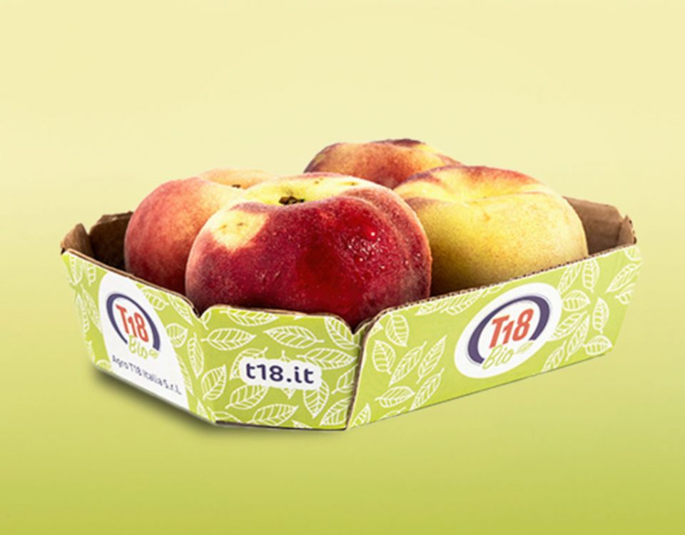 T18-tribunale-fallimento-frutta