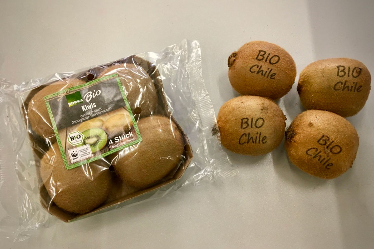 Bollini-laser-kiwi-bio-Edeka