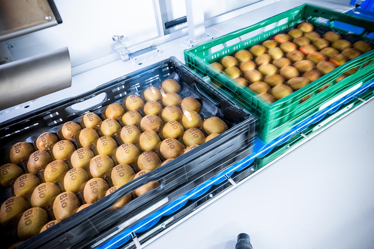 Bollini-laser-kiwi-bio-macchina