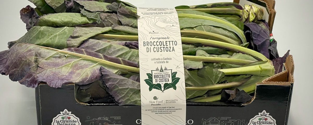 Broccoletto-Custoza-Migross-Grande-Bellezza