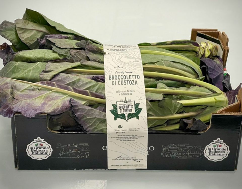 Broccoletto-Custoza-Migross-Grande-Bellezza
