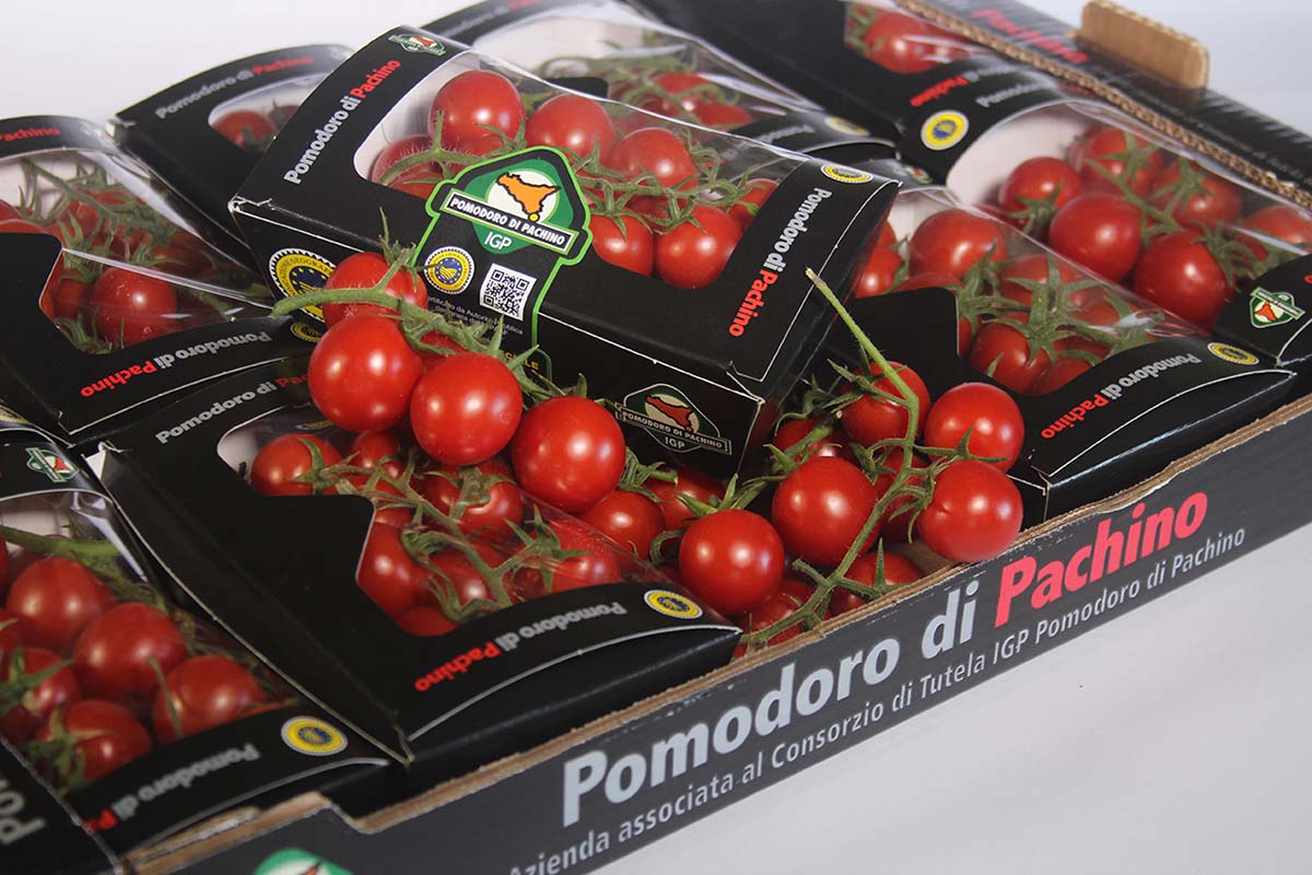 Pomodoro Pachino