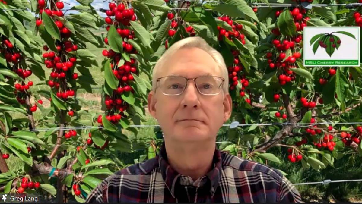 ciliegio macfrut international cherry symposium