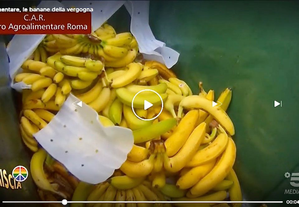 Banane-spreco-verggogna-Striscia-04.03.2022