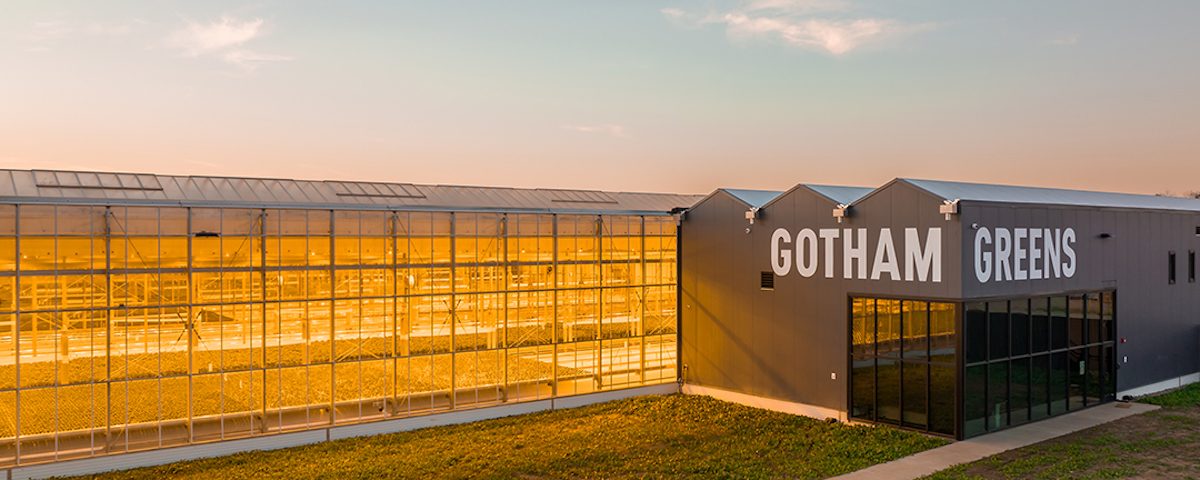 Gotham Greens