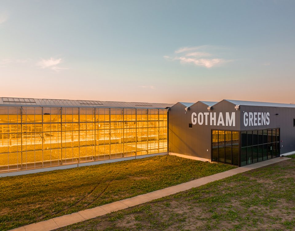Gotham Greens