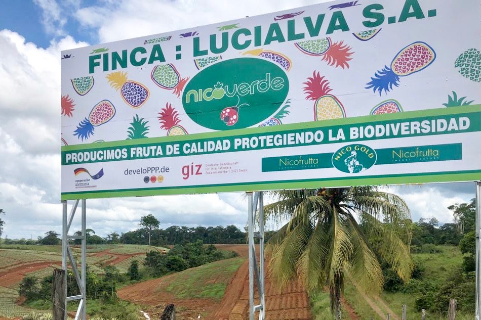 Nicofrutta-Nicoverde-finca-Lucialva-Costa-Rica