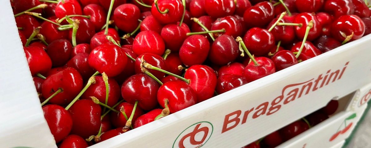 Ciliegie-Veneto-Pezzo-Fruitimprese