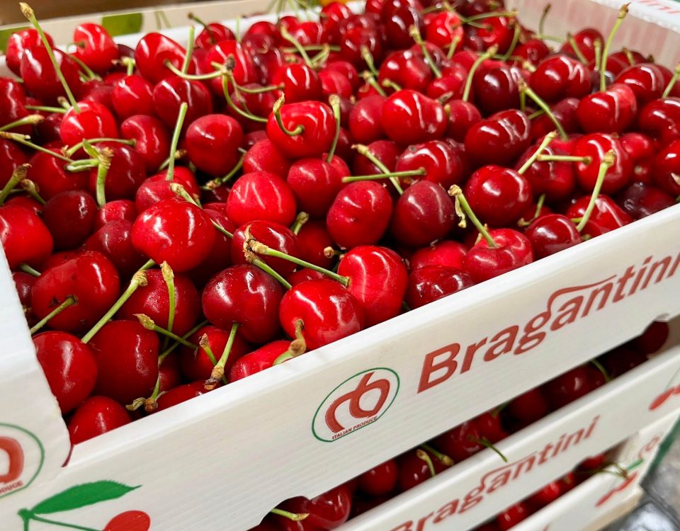 Ciliegie-Veneto-Pezzo-Fruitimprese