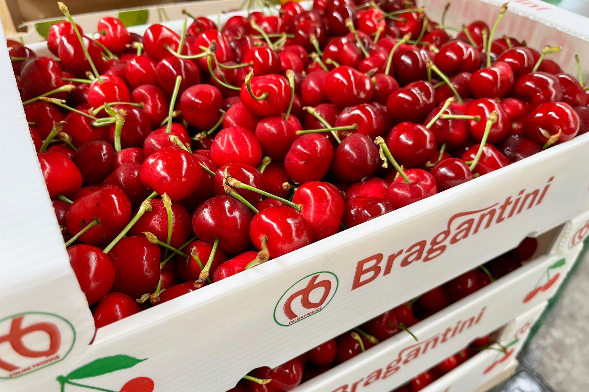 Ciliegie-Veneto-Pezzo-Fruitimprese