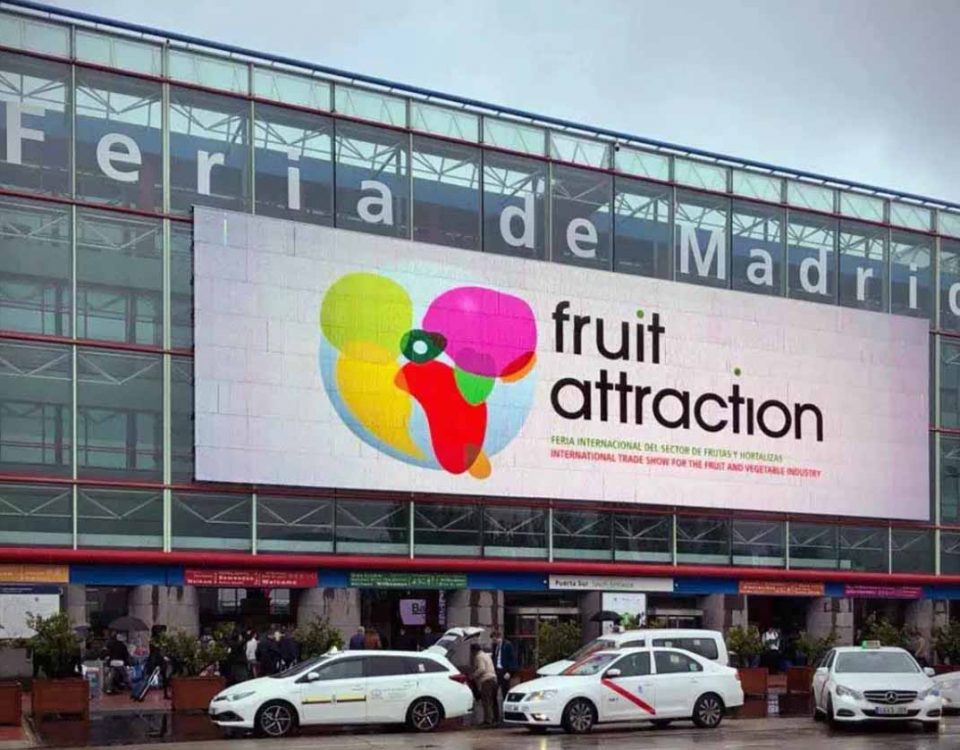 fruit attraction