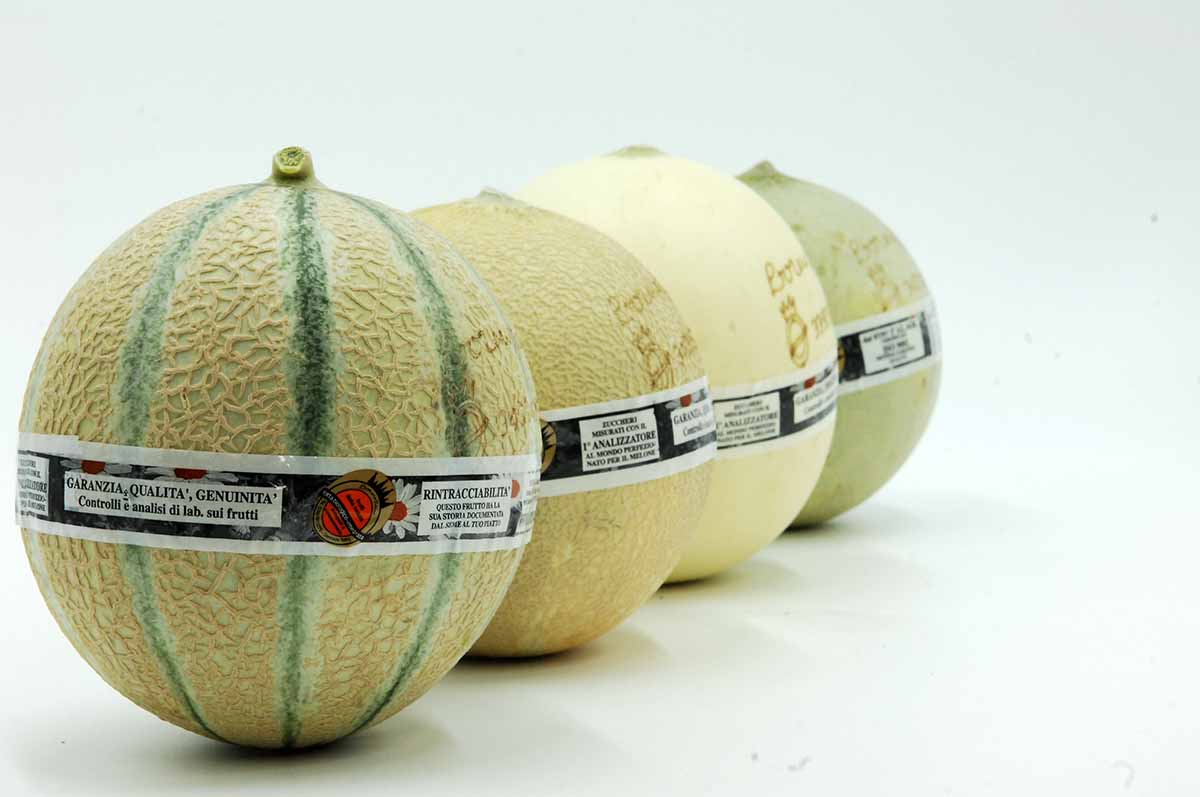 Lorenzini Naturamica melone
