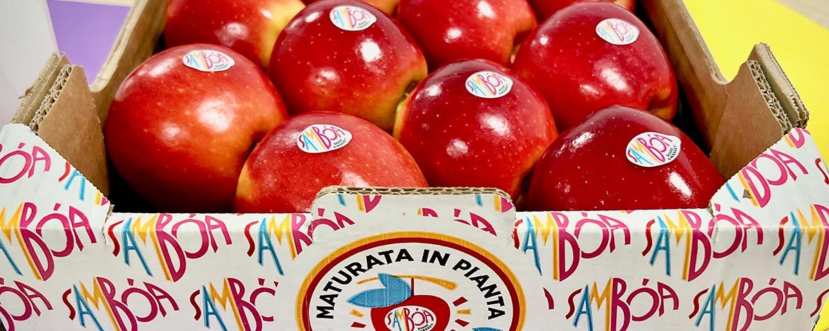 Mela-Samboa-Rivoira-maturata-in-pianta-copyright-Fm