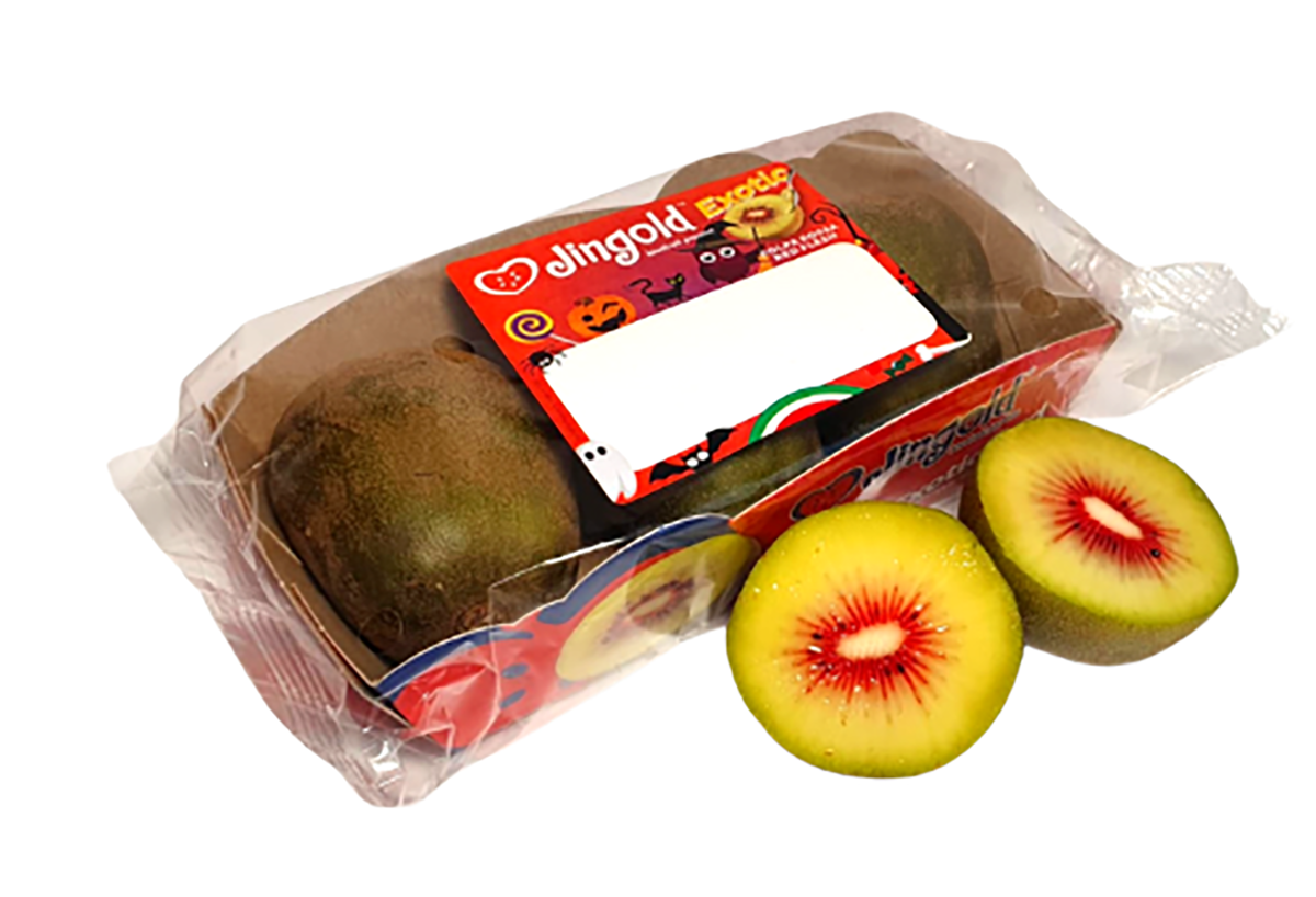 Jingold kiwi rosso oriental red
