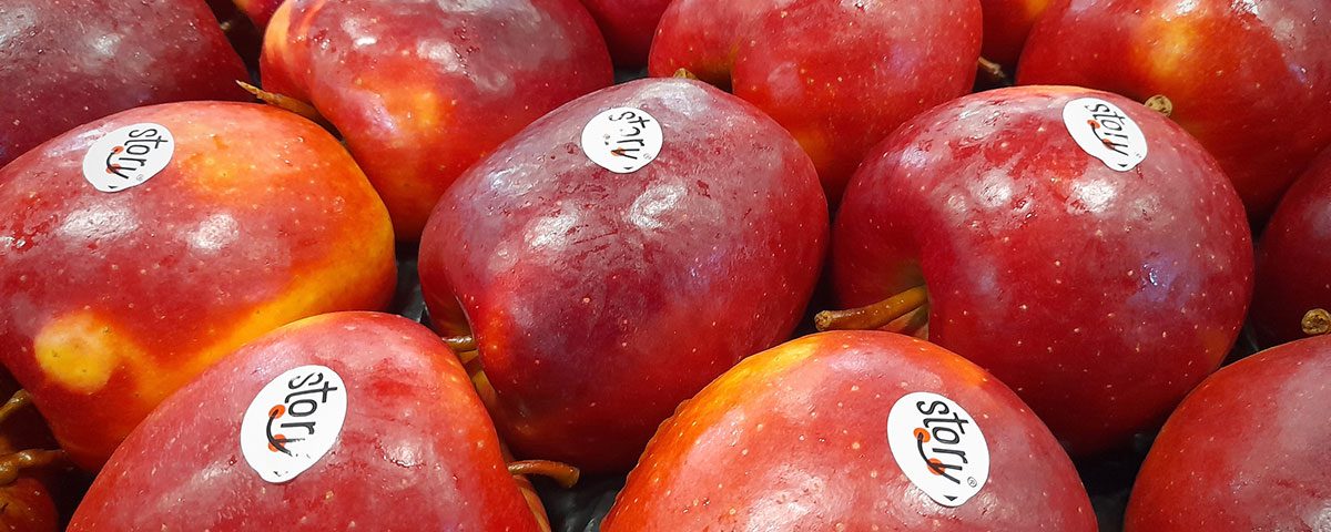 Solfrutta_Inored_Story_mela