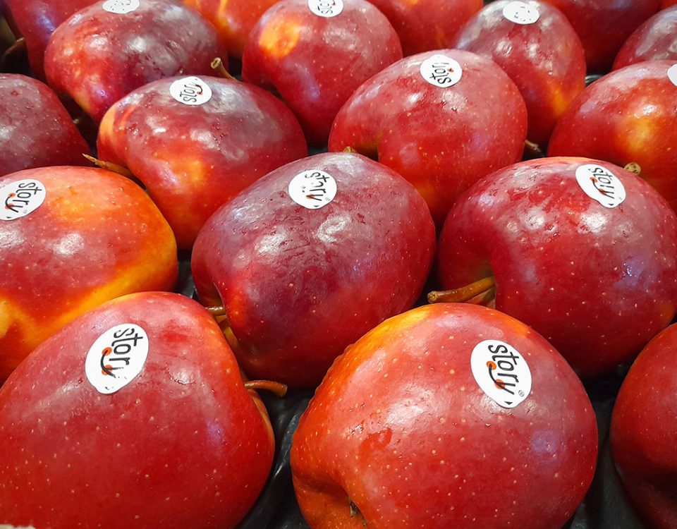 Solfrutta_Inored_Story_mela