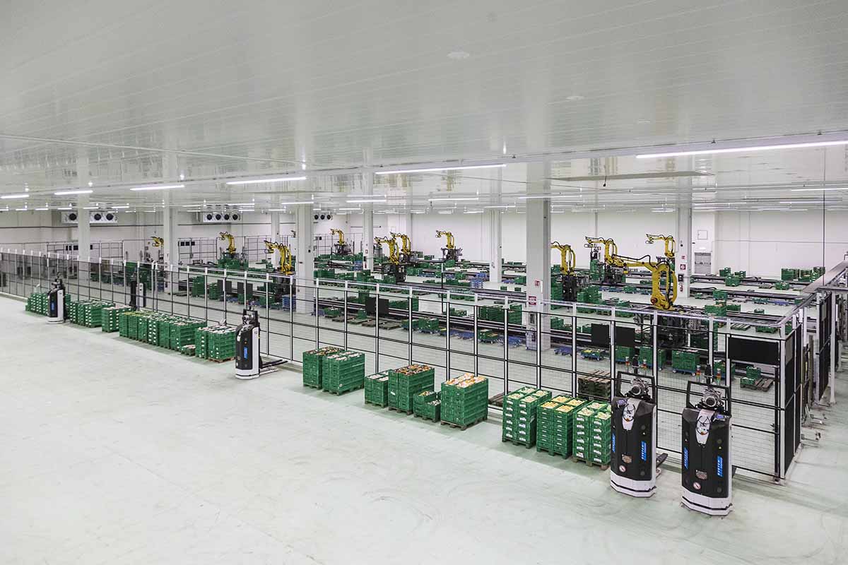 Conad Nord Ovest impianto robotizzato Montopoli