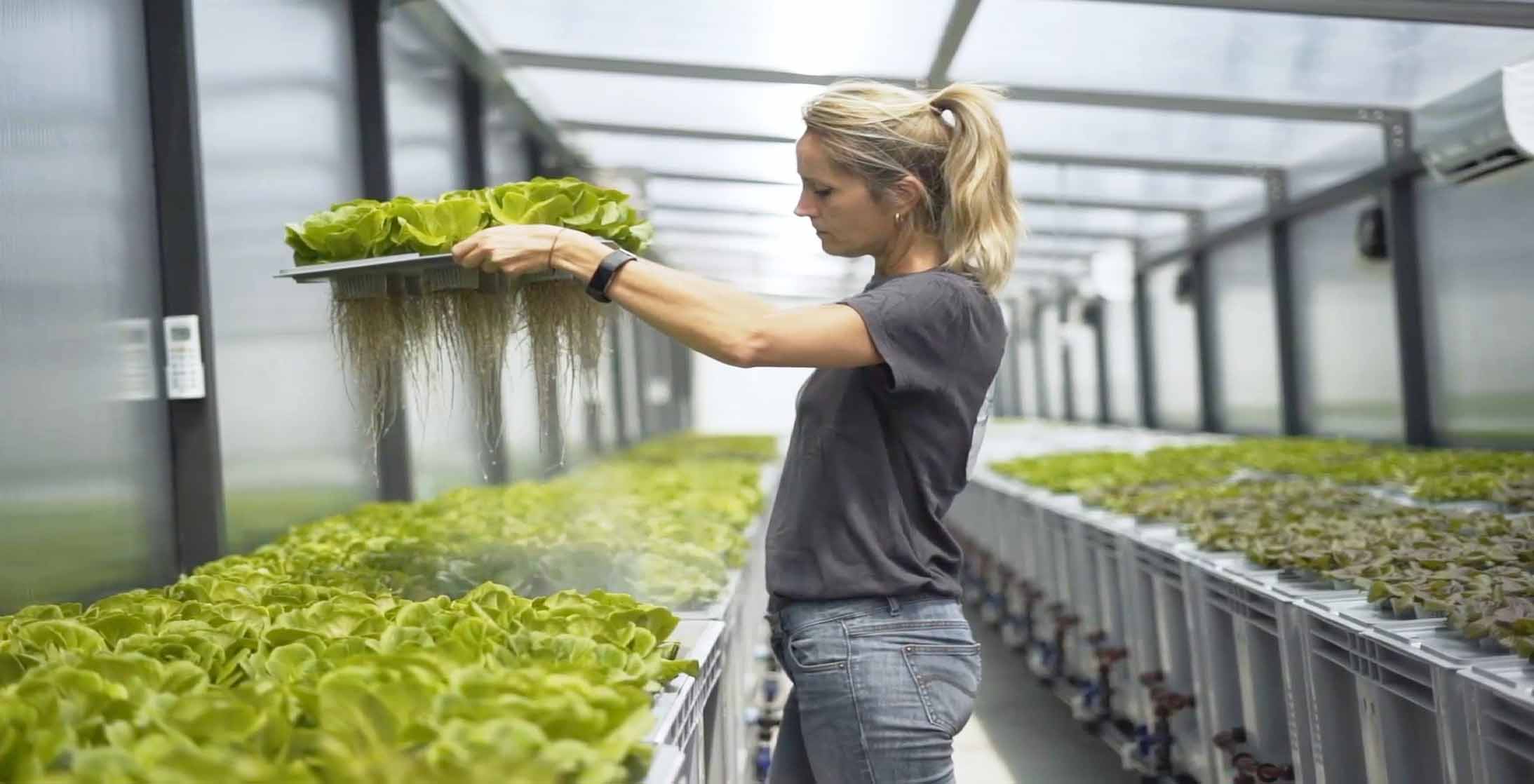 Agricooltur