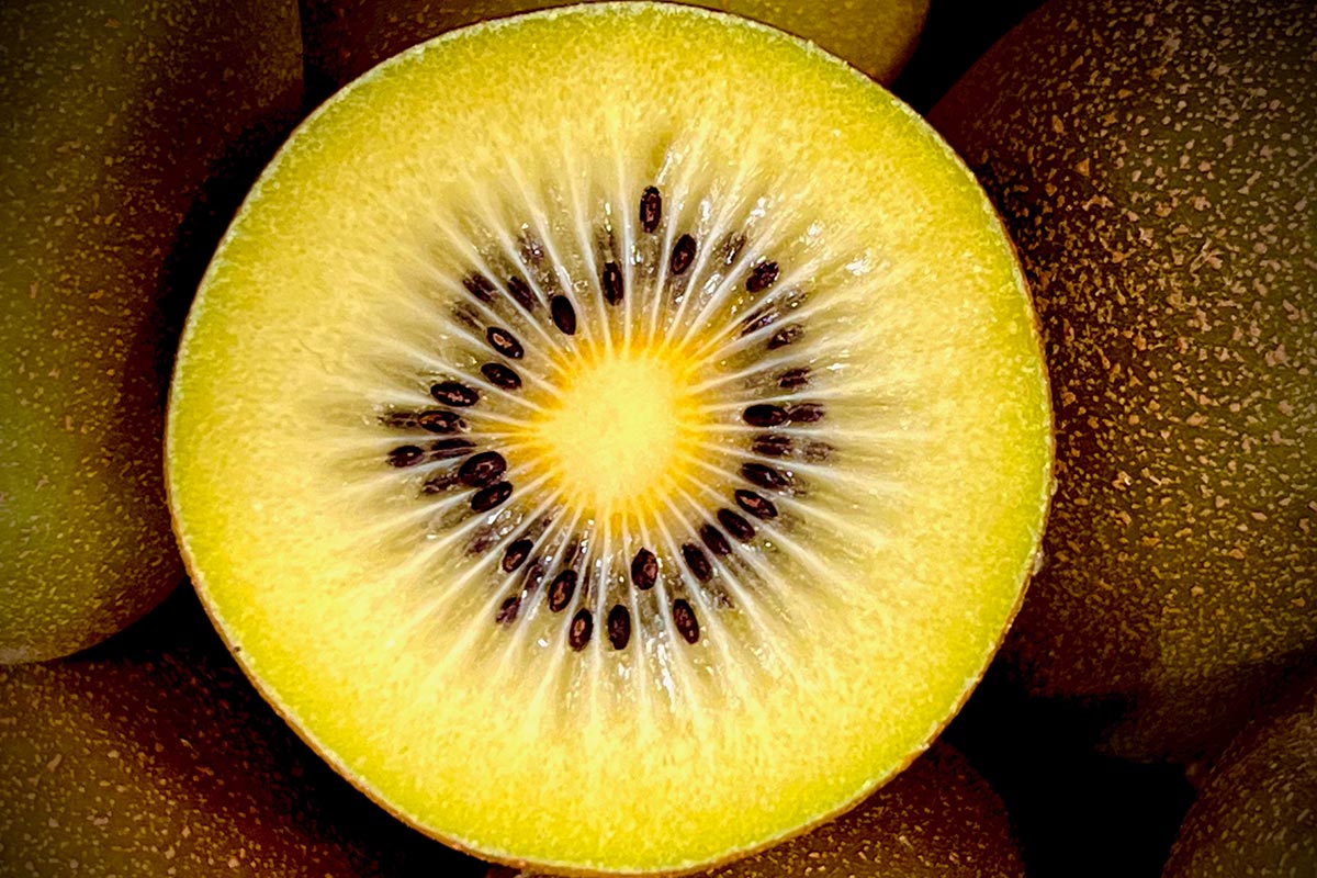 Rivoira_kiwi_giallo-frutto-tagliato