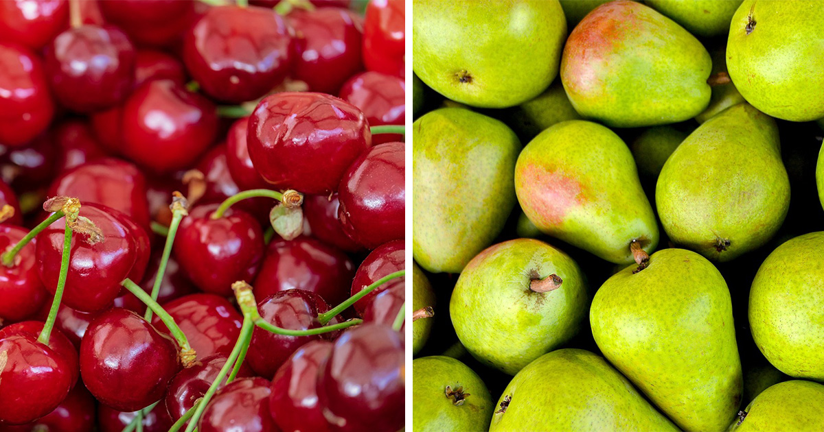 frutta