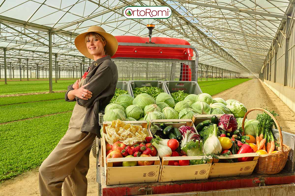 OrtoRomi