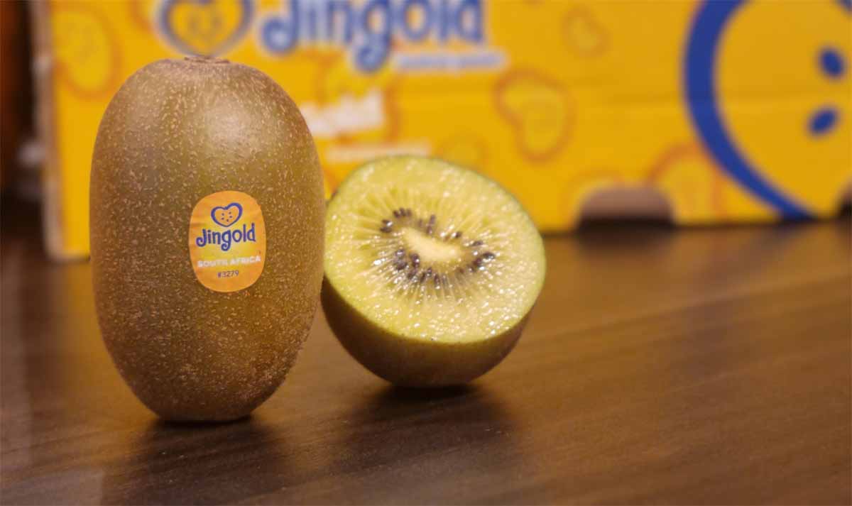 Jingold