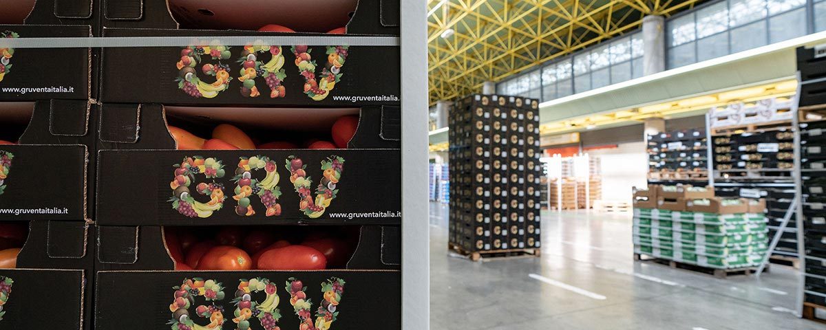 Gruventa-ortofrutta-GDO-copy_Fm
