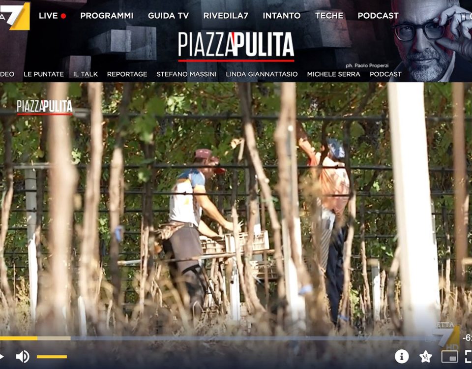 Piazzapulita-vendemmia-italiana-sfruttamento-lavoratori-vigneto