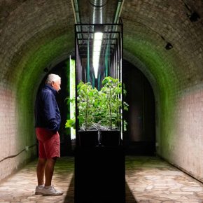 Tunnel Farm