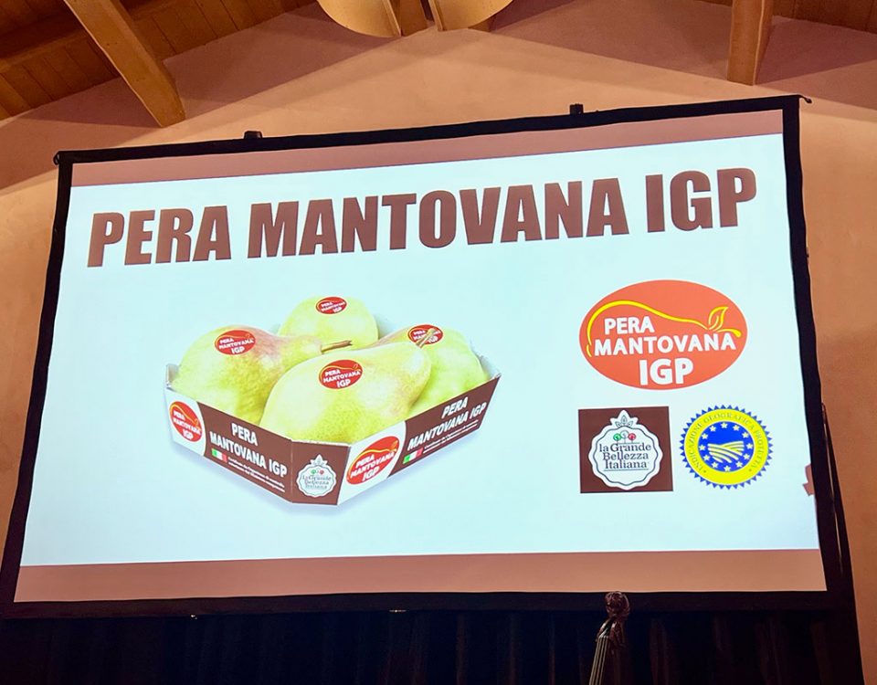 La_Grande_Bellezza_Italiana_Pera_Mantovana_IGP-2023-copy-Fm