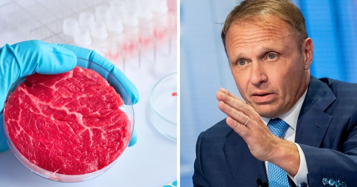carne sintetica Lollobrigida
