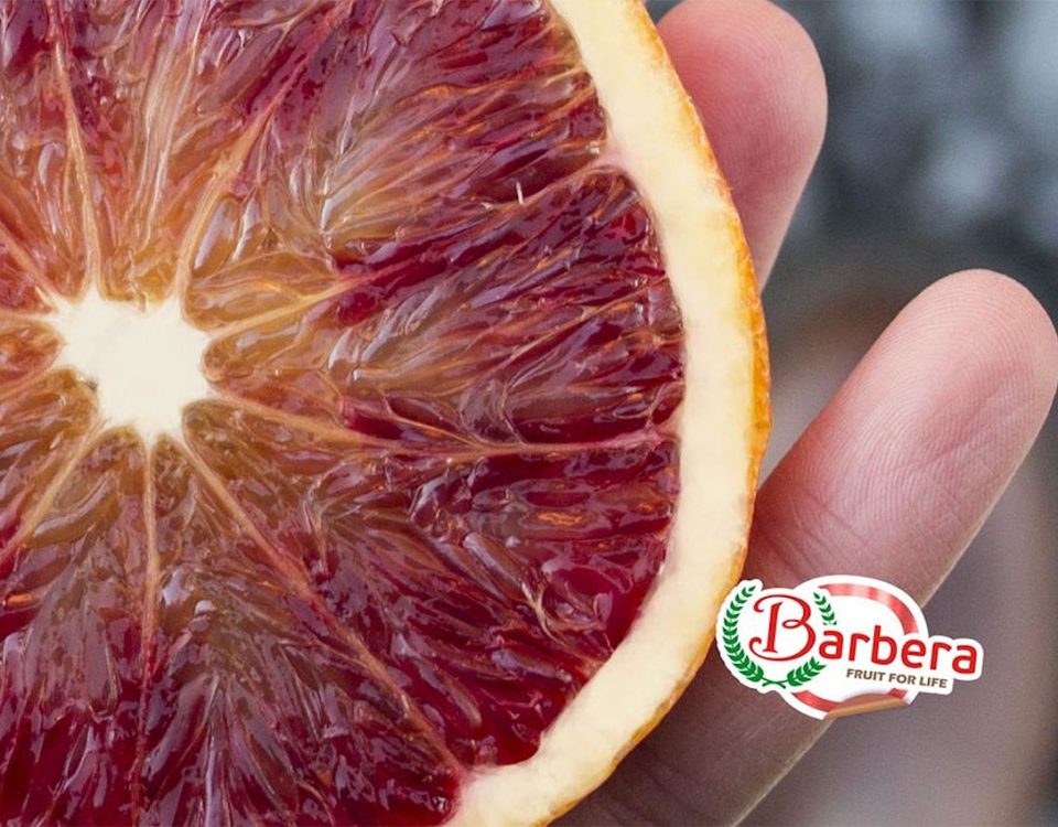 barbera
