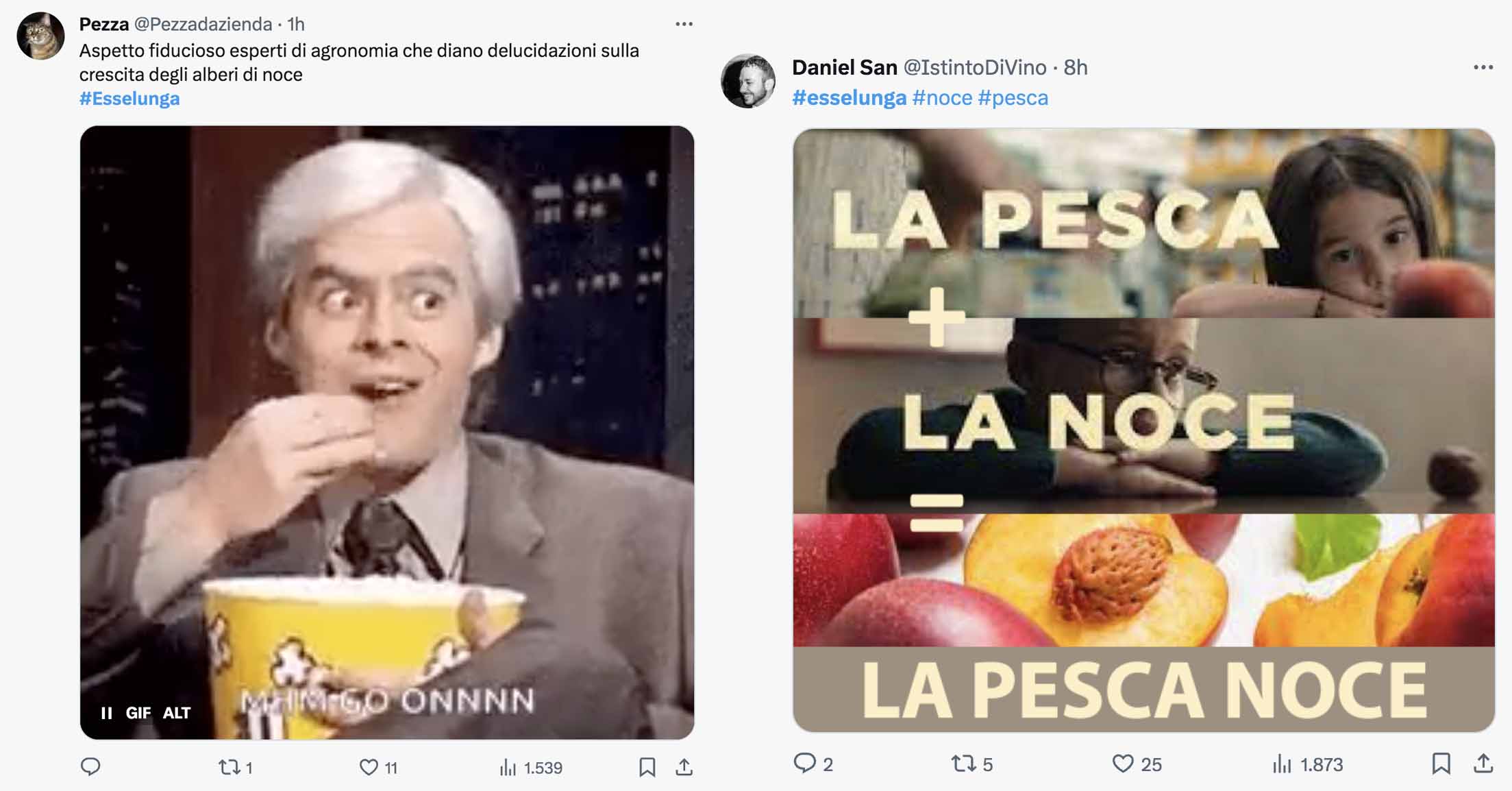Esselunga Noce meme