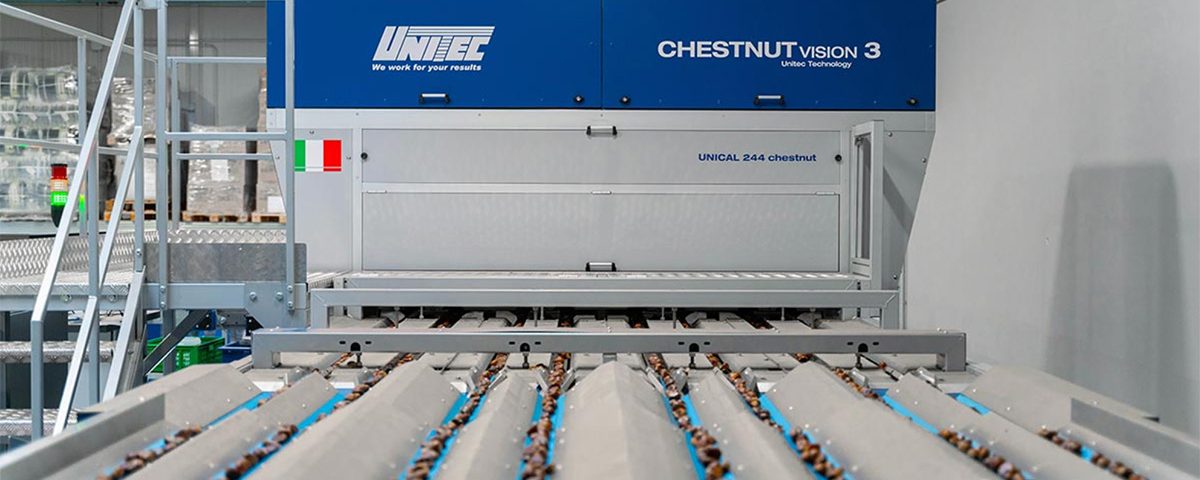 Unitec Mastrogregori