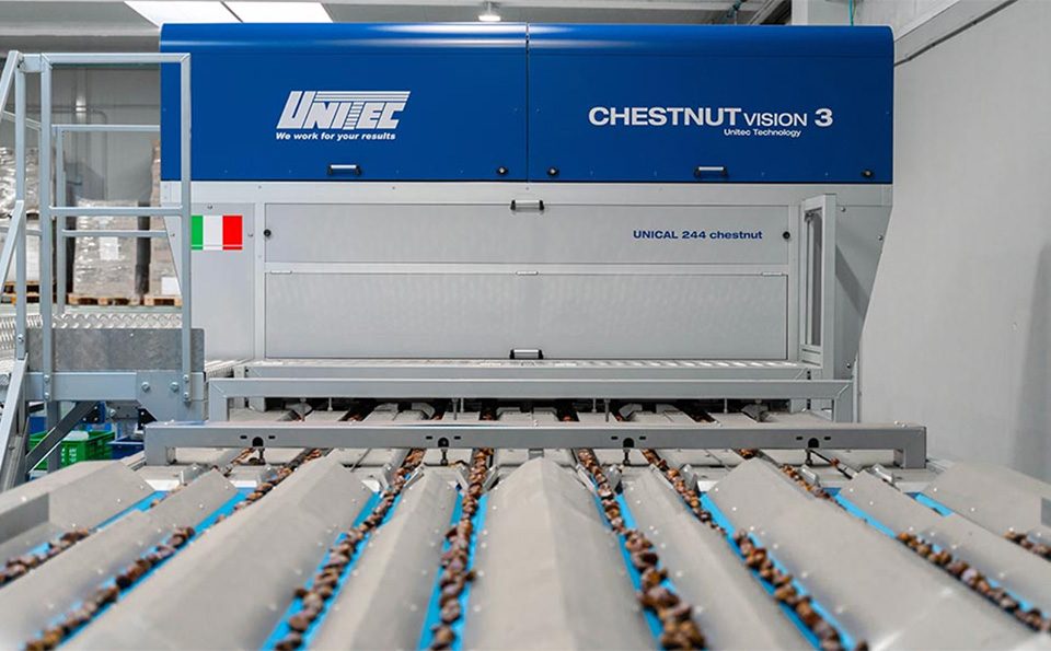 Unitec Mastrogregori
