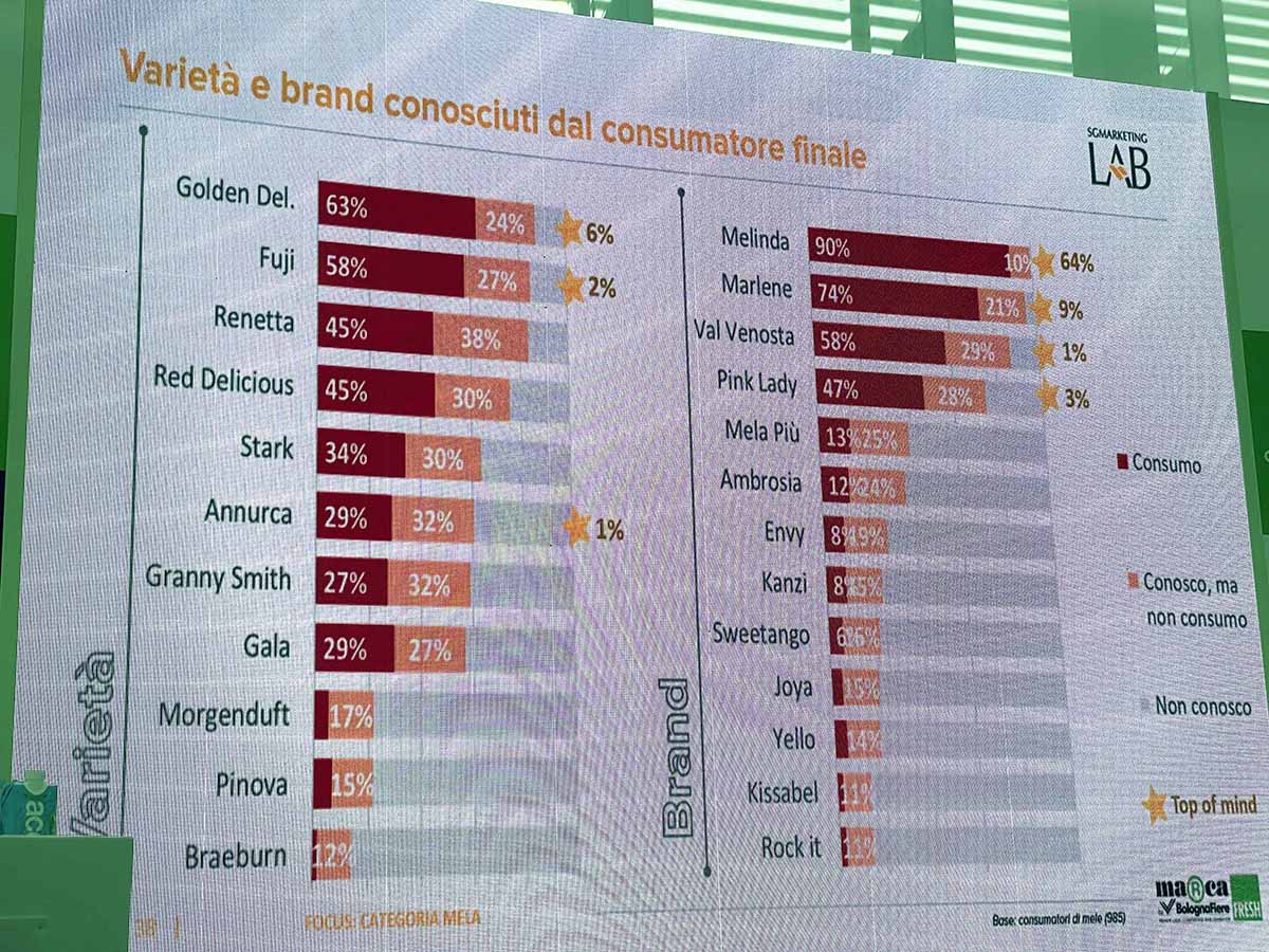 SGMarketing mele