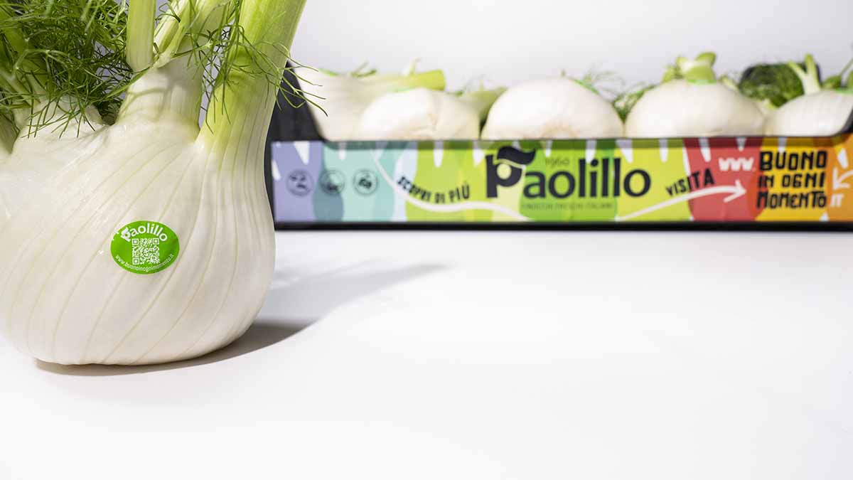 Paolillo finocchio