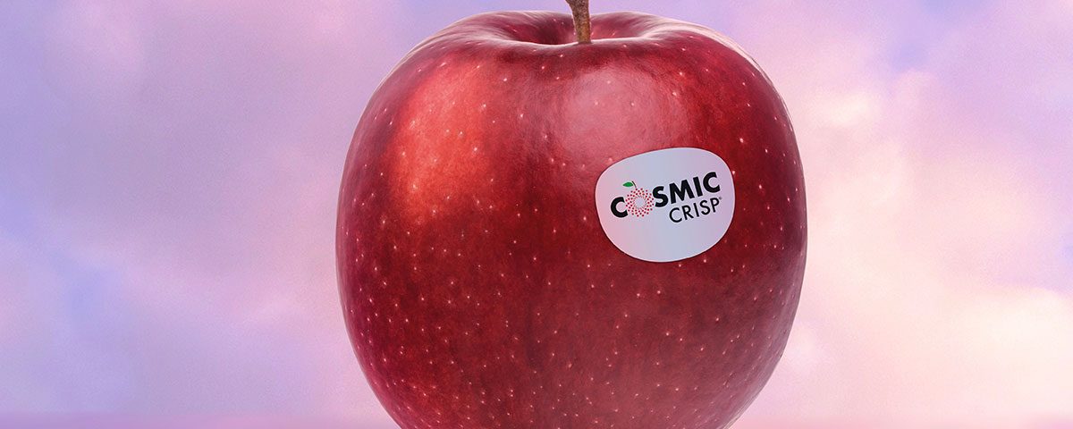 Cosmic-Crisp-mela-Alto-Adige