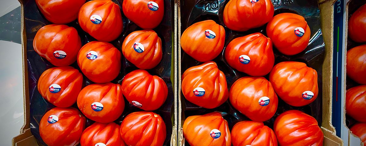 Nama-pomodoro-cuore-di-bue-Fogliati
