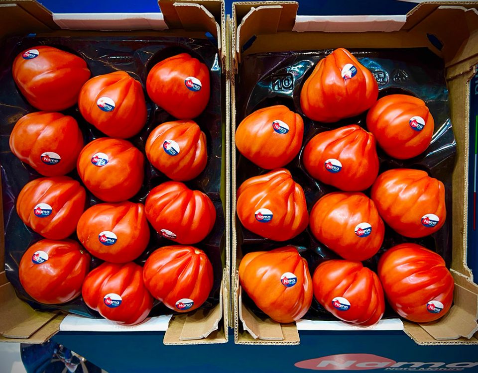 Nama-pomodoro-cuore-di-bue-Fogliati