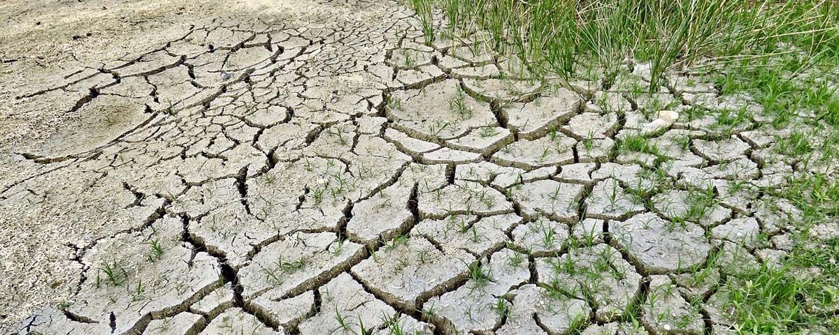 Siccita-terra-arida