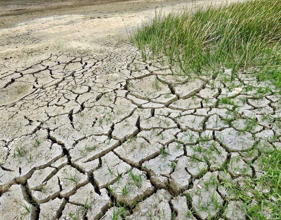 Siccita-terra-arida
